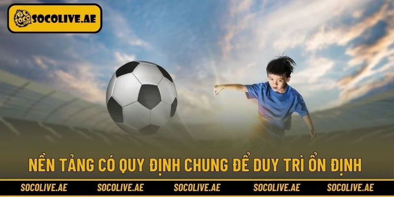 Nền tảng có quy định chung để duy trì ổn định