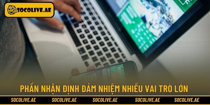 Phần nhận định đảm nhiệm nhiều vai trò lớn