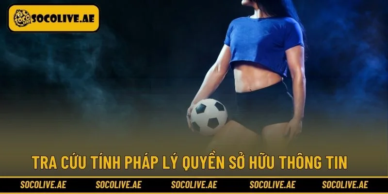 Tra cứu tính pháp lý quyền sở hữu thông tin